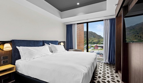 Room, 1 King Bed, Mountain View (California King)