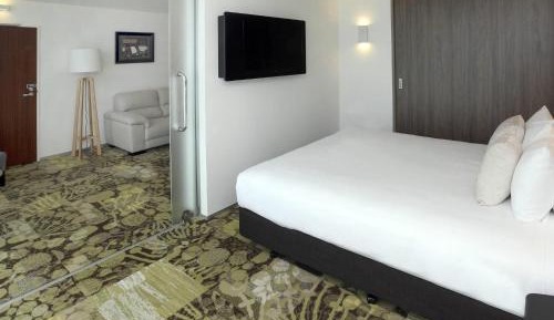 Superior One-Bedroom Apartment with King Bed