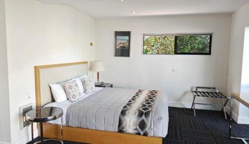 Deluxe One-Bedroom Apartment