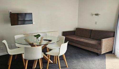 Large One-Bedroom Apartment