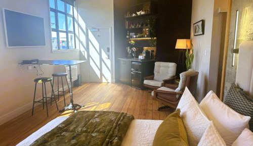 Deluxe One-Bedroom Apartment