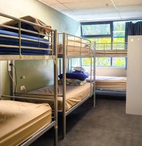 Bed in 6-Bed Mixed Dormitory Room