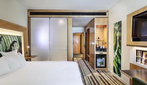 Superior King Room