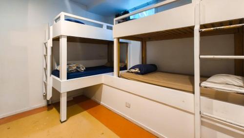 Bunk Bed in Mixed Dormitory Room
