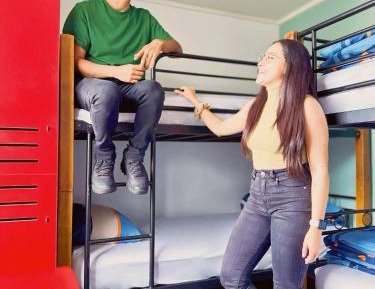 Bunk Bed in Mixed Dormitory Room
