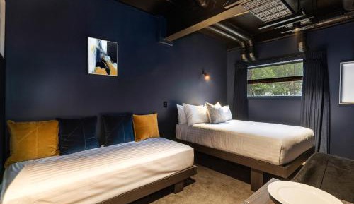 Cozy Studio Plus