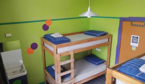 Bed in 4-Bed Mixed Dormitory Room