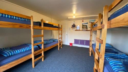 Bunk Bed in Female Dormitory Room  