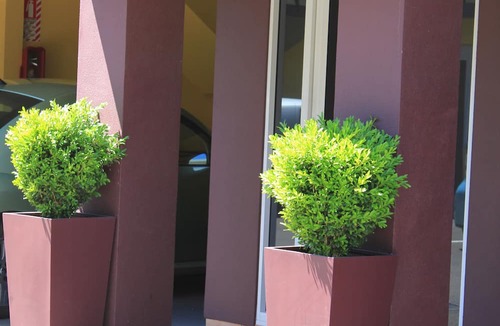 Tauranga Hotel | Harbour City Motor Inn