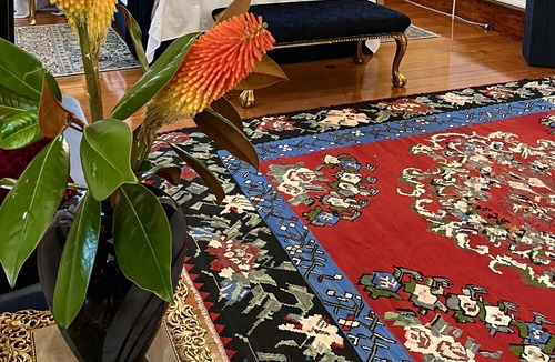Eltham Bed & Breakfast | The Old Eltham Post Office