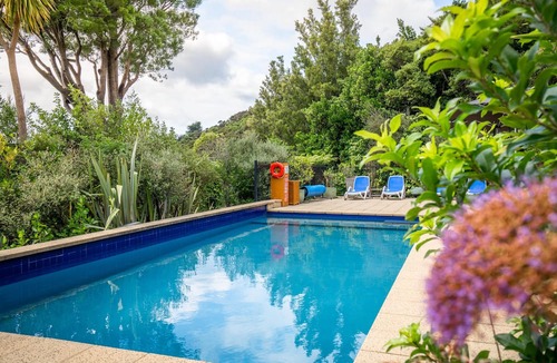Arthur's Bay Cabin | Bay of Many Coves Resort