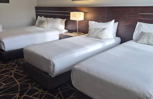 Mangere Hotel | Auckland Airport Kiwi Motel