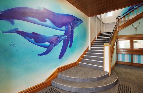 Tauranga Hostel | Wanderlust NZ