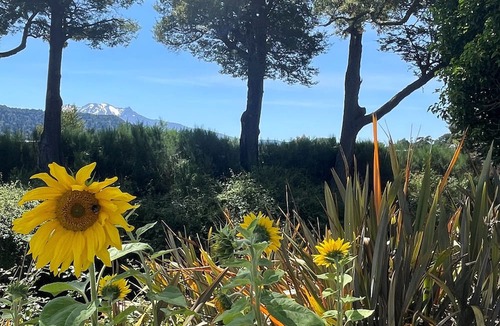 Ohakune Bed & Breakfast | Two Rivers Boutique Lodge Ohakune