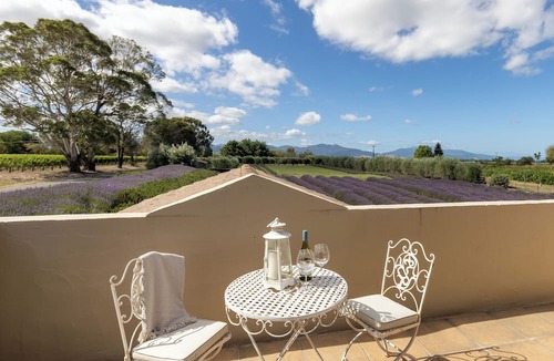 Blenheim Bed & Breakfast | French Fields NZ