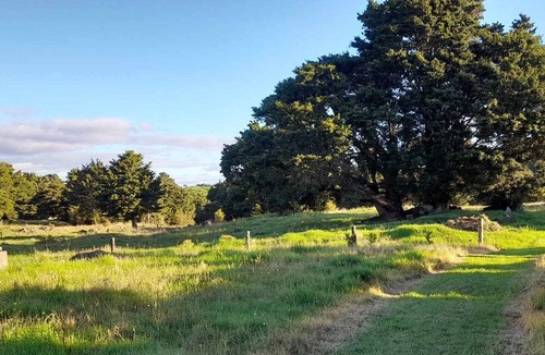 Taheke Cabin | Relax at this comfortable rural 1 bedroom property