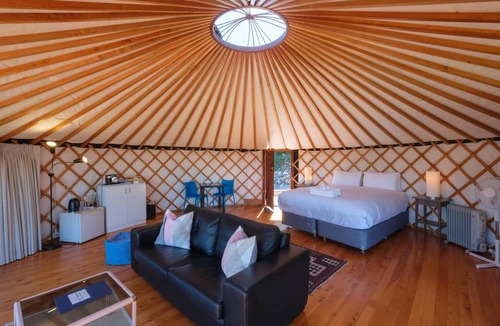 Palm Beach Cabin | Awaawa Yurts - Combined - 3 Yurt Package - Awaawa Yurts offer a luxury glamping experience on Waiheke Island. Stunning views, luxury queen sized bed, private bathroom with tea and coffee making facilities.