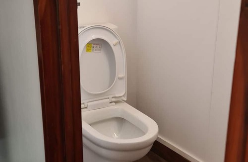 Dunedin Apartment | Quite and peaceful self contained