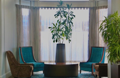 Palmerston North Hotel | Copthorne Hotel Palmerston North