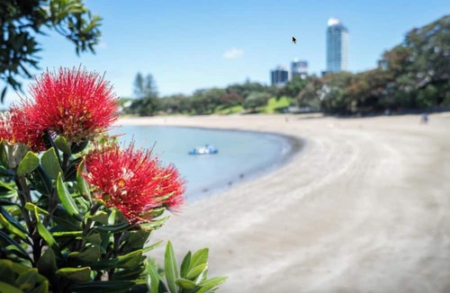 Takapuna Other | Takapuna Beach Holiday Park