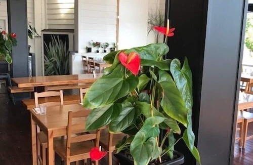 Waiuku Hotel | The Kentish Hotel