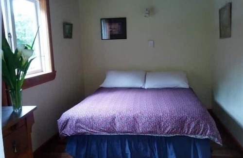 Collingwood Cottage | Ruru Cottage - cosy native forest hideaway