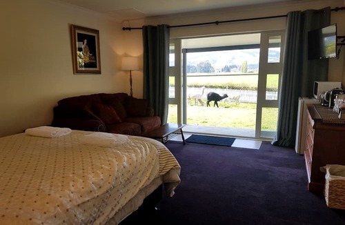 Cambridge Cottage | Peaceful Cottage with Idyllic Sunset Views in Cambridge, Waikato