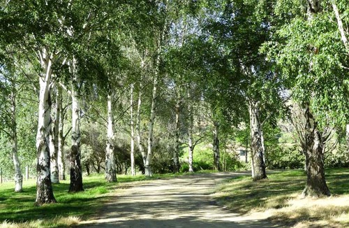 Lowburn Cabin | Romantic Vacation Rental with a Vineyard in Cromwell, New Zealand