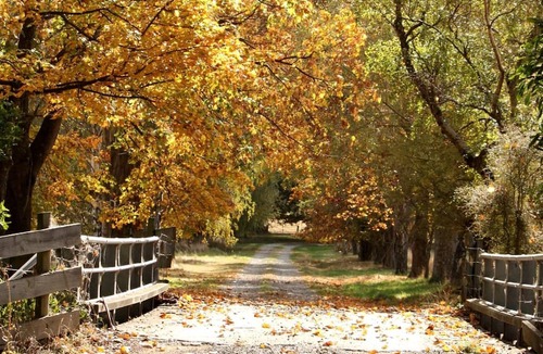 Christchurch House | Luxurious Vacation Rental on Stunning Grounds in Christchurch, South Island