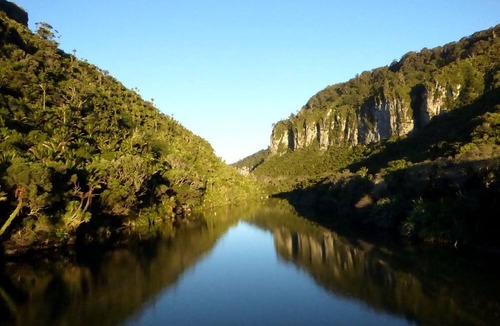 Punakaiki Cabin | Cottage Rental for Couples on West Coast of South Island, New Zealand
