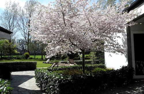 Swannanoa Villa | Luxurious Accommodation with Spacious Grounds in Canterbury, South Island