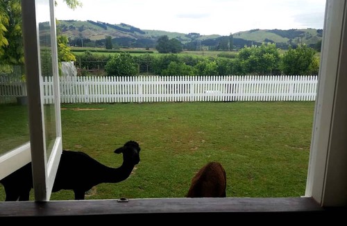 Cambridge Cabin | Rustic Farm Accommodation Surrounded by Gorgeous Countryside Views near Lake Karapiro, North Island