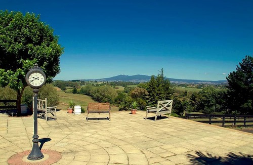 Hamilton Cabin | Family-Friendly Getaway near the Iconic Hobbiton on the North Island
