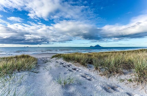 Thornton Cabin | Enchanting Bay of Plenty Accommodation Ideal for Glamping, North Island