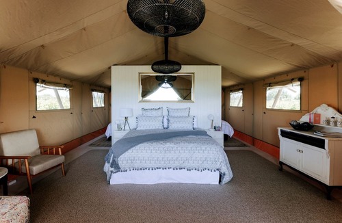 Clive RV Rental | Peaceful Safari Tent on Boutique Vineyard near Hastings, North Island