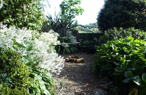 Waiotahi House | Pohutukawa Rise -Coastal Holiday Home