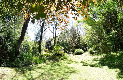 Te Popo Cabin | Romantic Getaway Nestled in Nature near New Plymouth, North Island