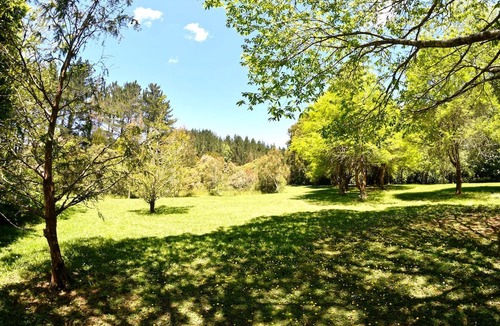 Te Popo Cabin | Romantic Getaway Nestled in Nature near New Plymouth, North Island