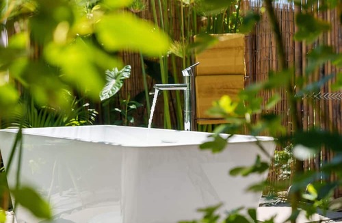 Matapihi Cabin | The Shed Guest House