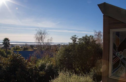 Richmond House | Charming Sunny Family House - Bird's Nest