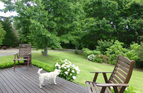 Aongatete House | Tranquil Private Rural Retreat
