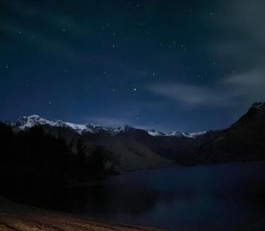 Closeburn Apartment | Forest Retreat 6 Mins to Queenstown