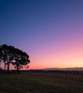 Martinborough House | Frogs Hollow
