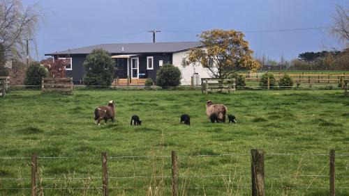 Kairanga House | The Quiet Paddock