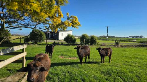 Kairanga House | The Quiet Paddock