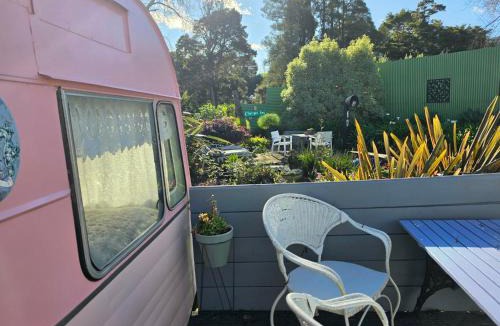 Dome Forest Bed & Breakfast | Annies B and B