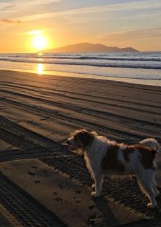 Te Horo Beach House | Affordable Private Pit Stop - Te Horo Beach