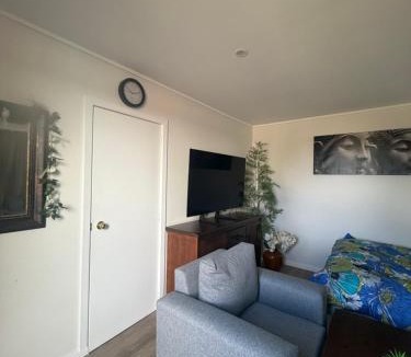 Tauranga Apartment | 44a Hammond street