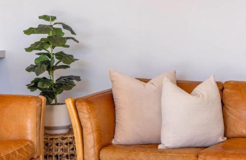 Oneroa House | The Cottage - Oneroa's Best Viewpoint