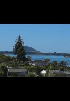 Omokoroa House | Bulavista
